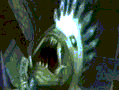 anima.gif