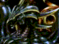 bahamut.gif